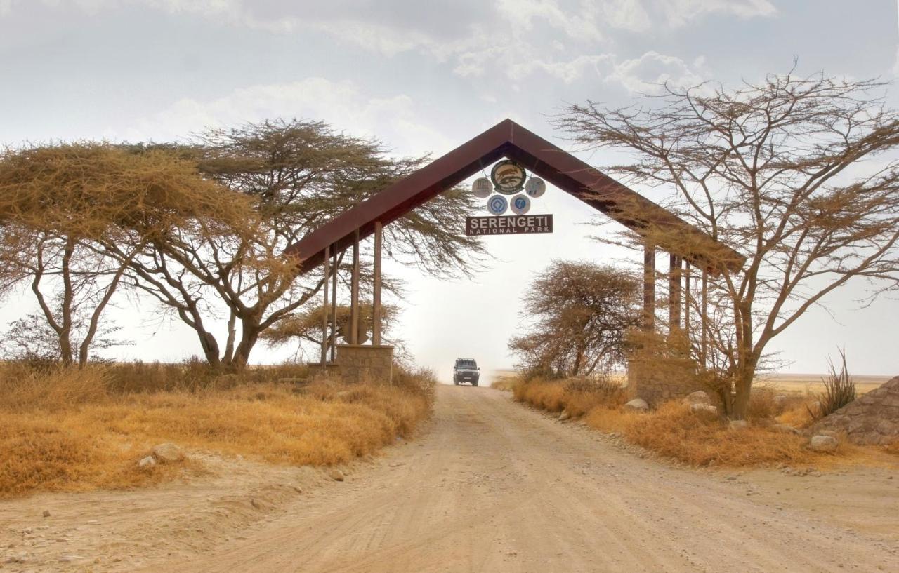 Africa Safari South Serengeti Ndutu Ngorongoro Sinoni Dış mekan fotoğraf