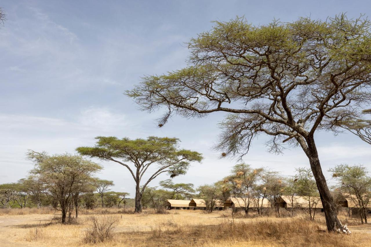 Africa Safari South Serengeti Ndutu Ngorongoro Sinoni Dış mekan fotoğraf