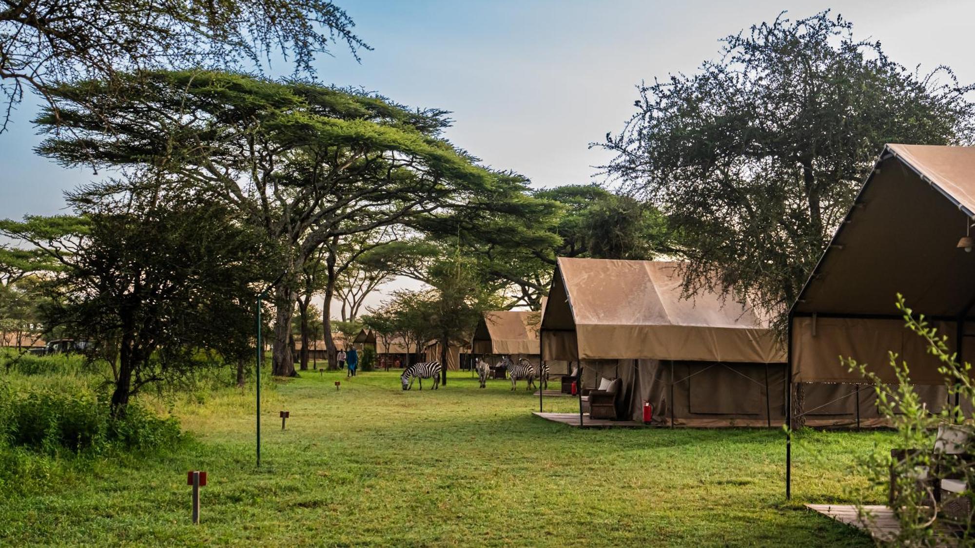 Africa Safari South Serengeti Ndutu Ngorongoro Sinoni Dış mekan fotoğraf