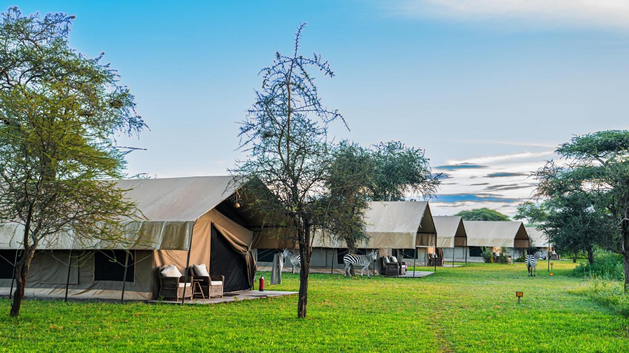 Africa Safari South Serengeti Ndutu Ngorongoro Sinoni Dış mekan fotoğraf