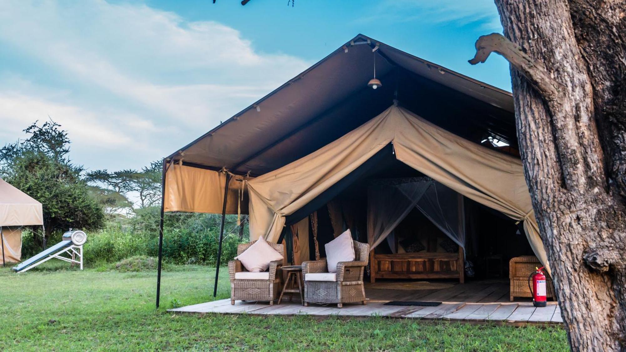 Africa Safari South Serengeti Ndutu Ngorongoro Sinoni Dış mekan fotoğraf