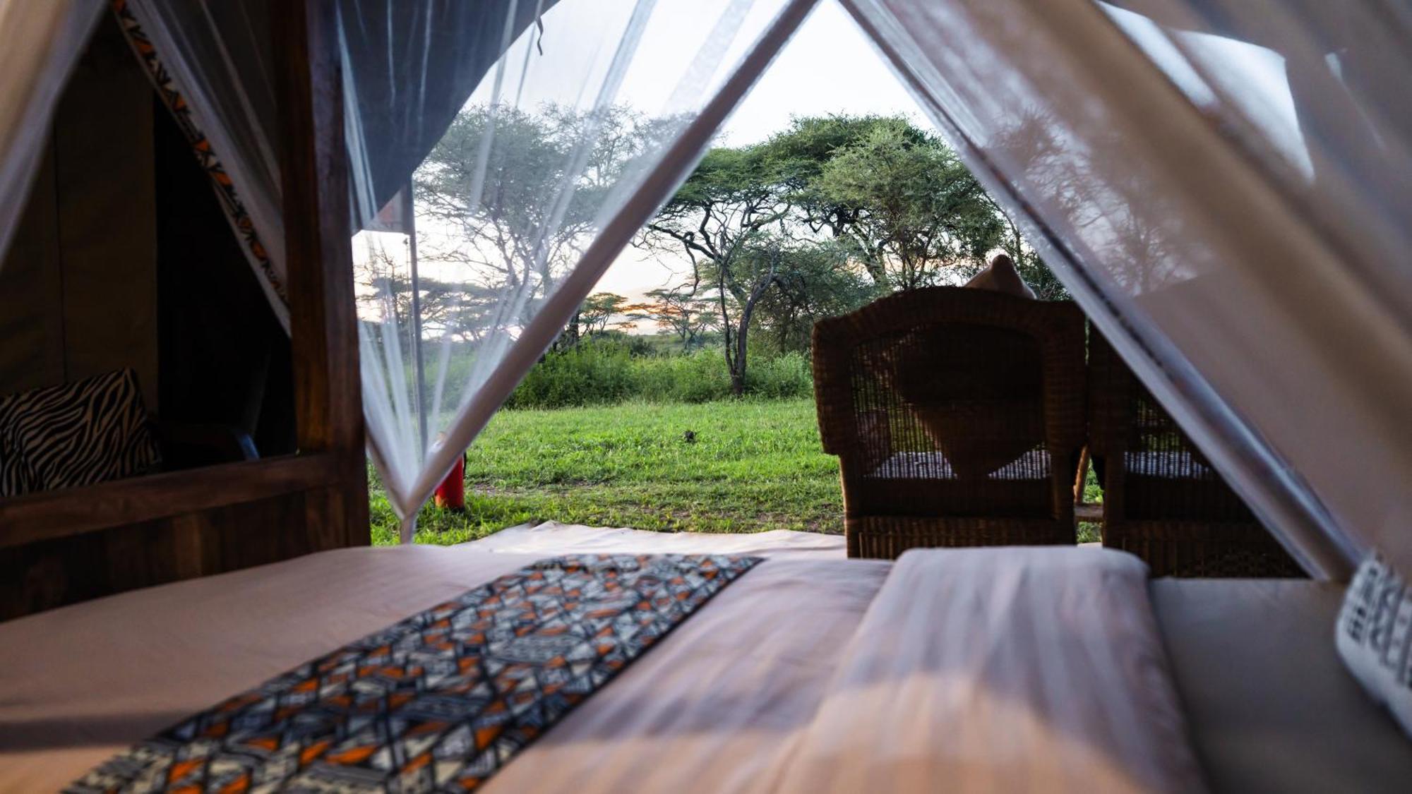 Africa Safari South Serengeti Ndutu Ngorongoro Sinoni Dış mekan fotoğraf