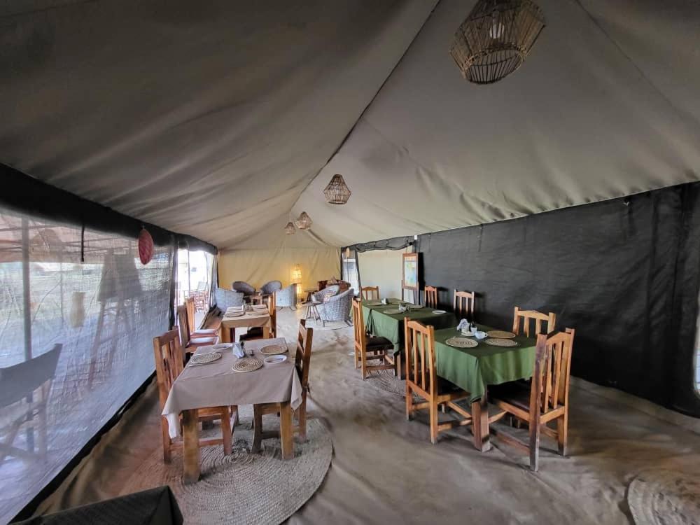 Africa Safari South Serengeti Ndutu Ngorongoro Sinoni Dış mekan fotoğraf
